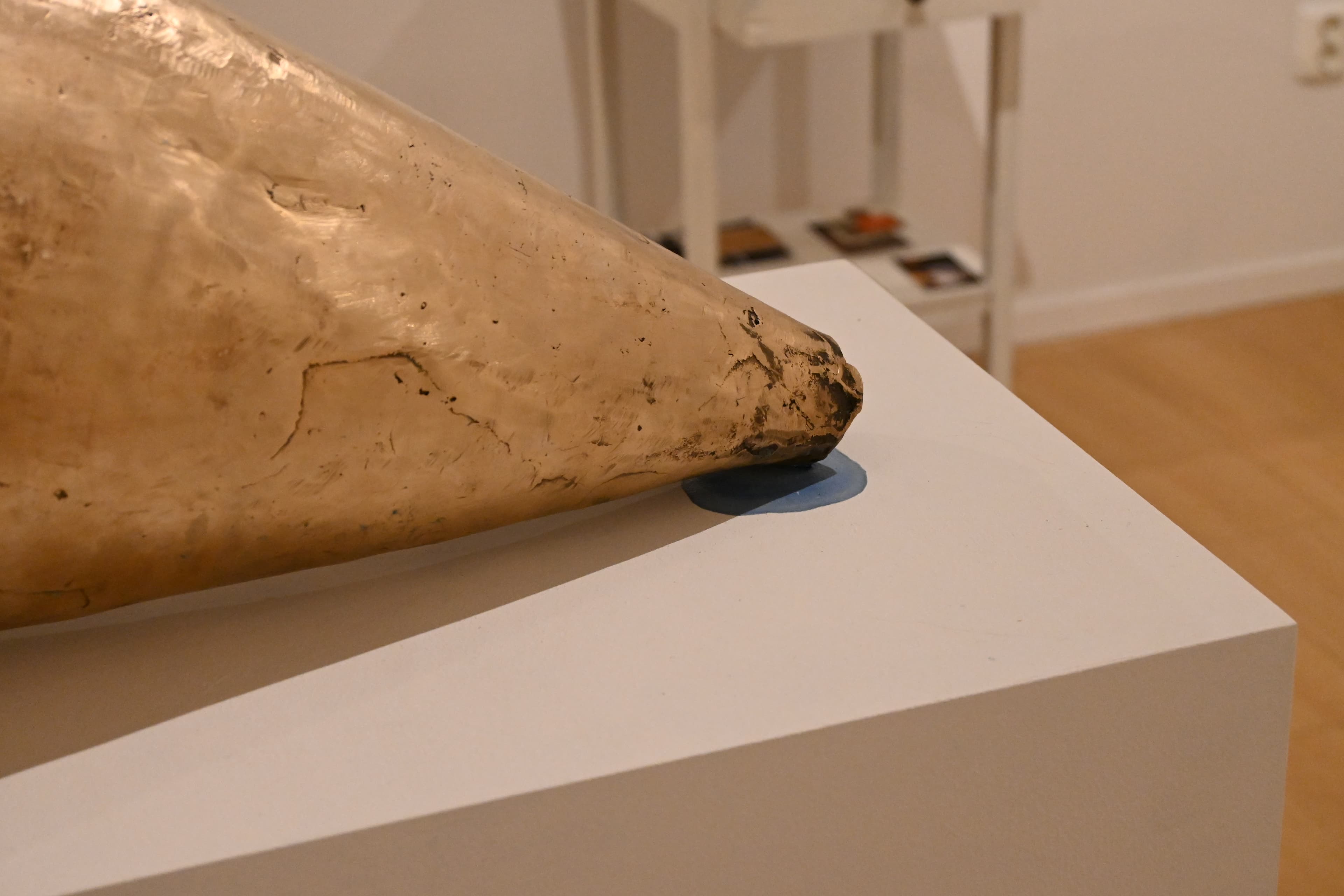 Bronze Shell Sensor, image 5
